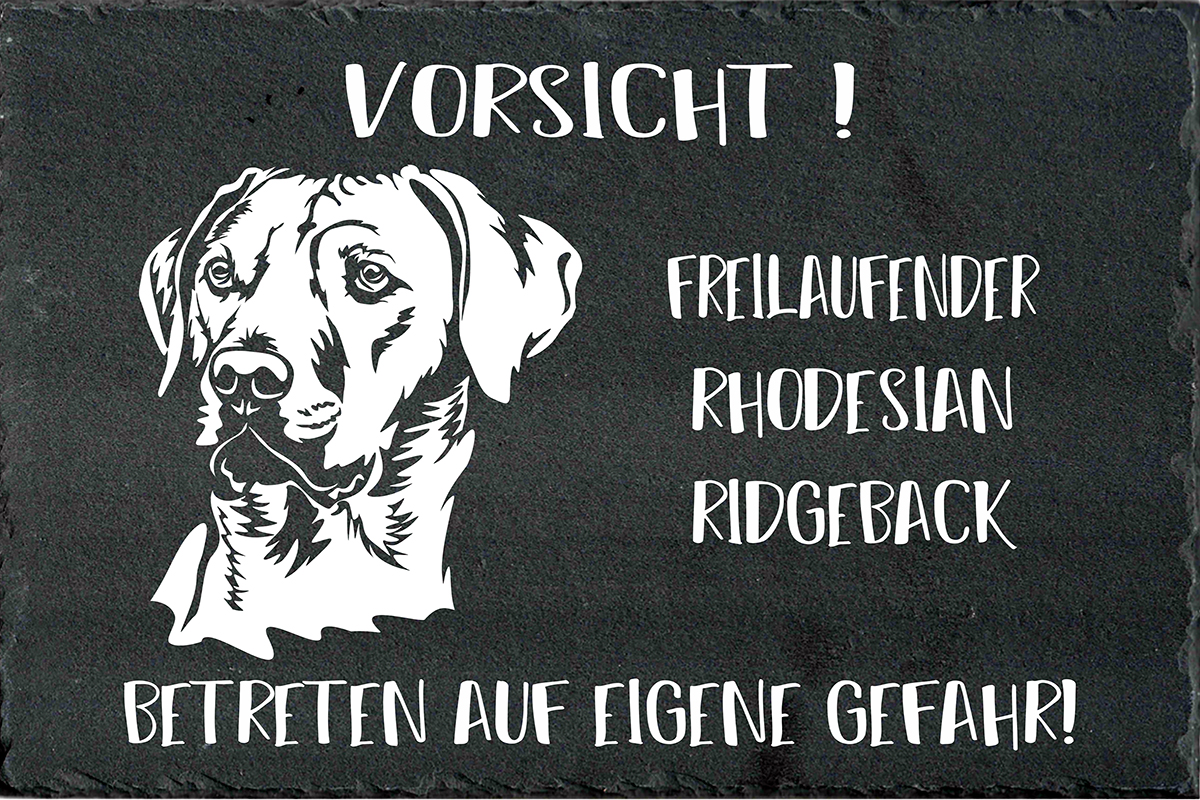 Türschild Achtung Rhodesian Ridgeback 15x20 30x20 40x30 60x40cm Hund Schild
