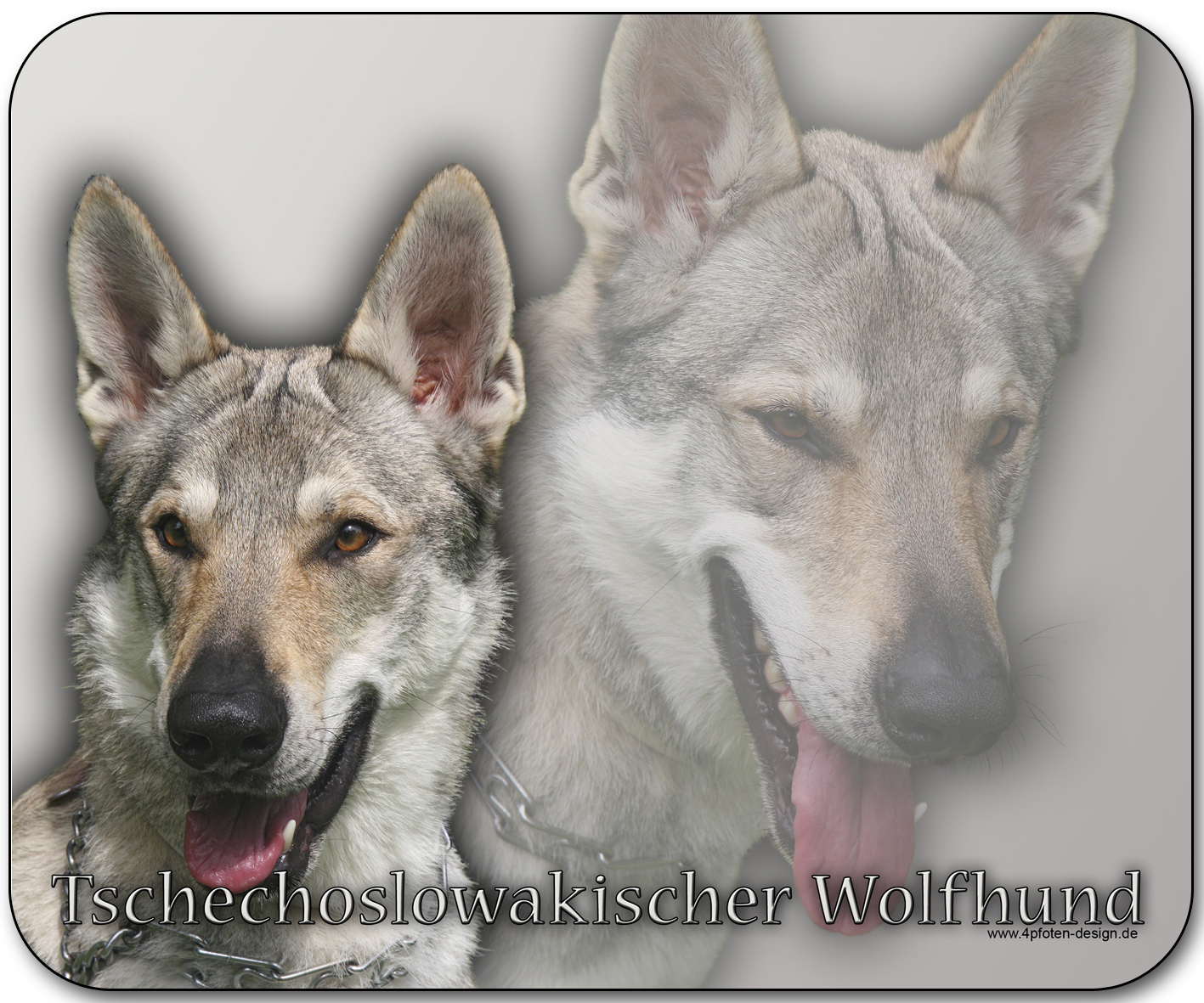 DE Maus Pad Tschechoslowakischer Wolfhund 