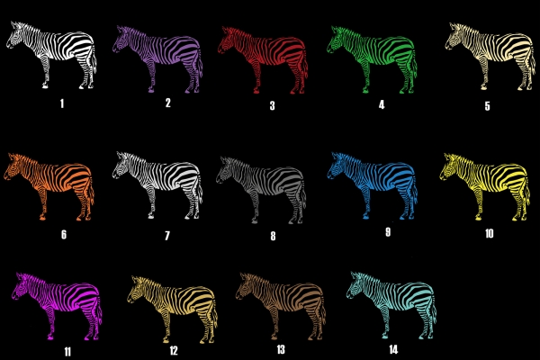 Aufkleber Zebra * für dunkle Hintergründe