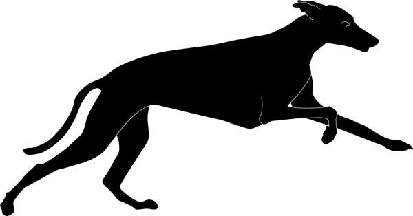 Galgo rennend Silhouette