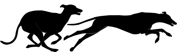 Galgo Gruppe rennend Silhouette