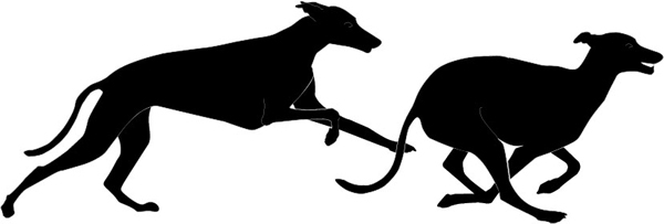 Galgo Gruppe rennend Silhouette