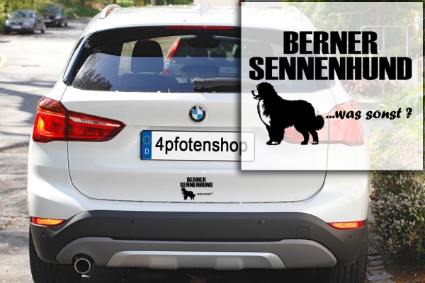 Aufkleber "Berner Sennenhund ...was sonst?"