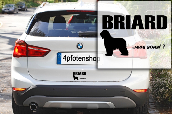 Aufkleber "Briard ...was sonst?"