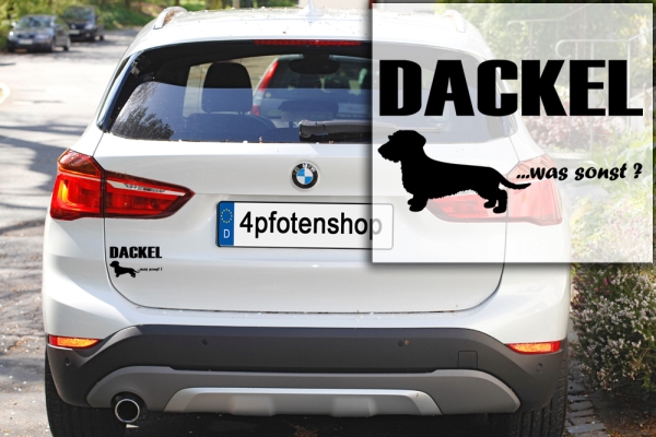 Aufkleber "Dackel (Rauhaar) ...was sonst?"