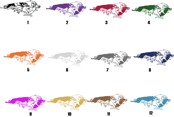 Aufkleber "Windhundrennen Salukis" *für helle Hintergründe