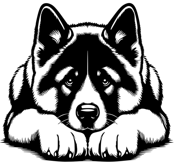 American Akita