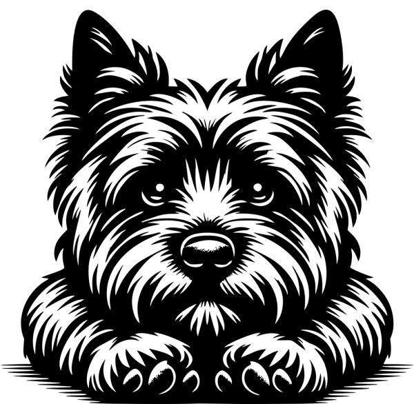 Aufkleber Cairn Terrier Kopf