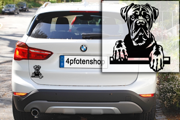 Autoaufkleber "Cane Corso" Kopf