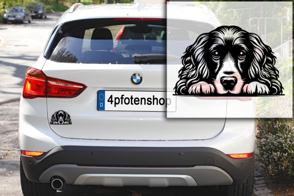 Autoaufkleber "Englischer Cocker Spaniel" Kopf