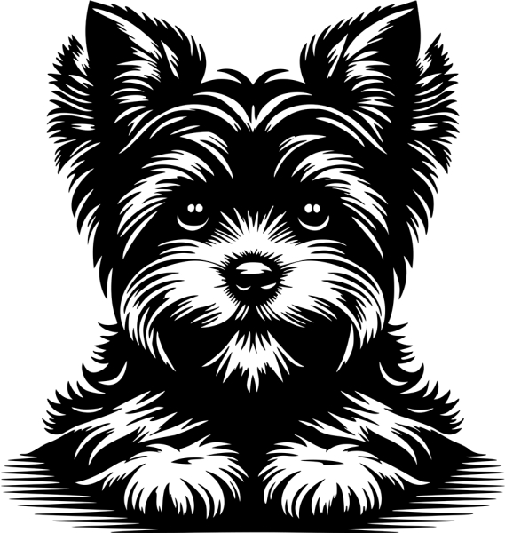 Aufkleber Yorkshire Terrier Kopf