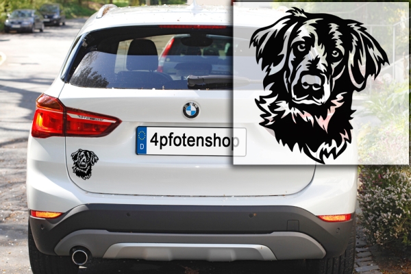 Autoaufkleber "Flat-coated Retriever" Kopf