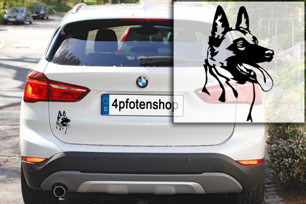 Autoaufkleber "Malinois" Kopf