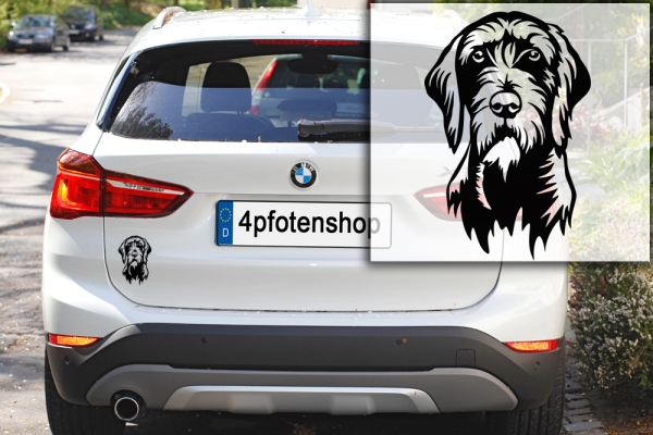 Autoaufkleber "Pudelpointer" Kopf