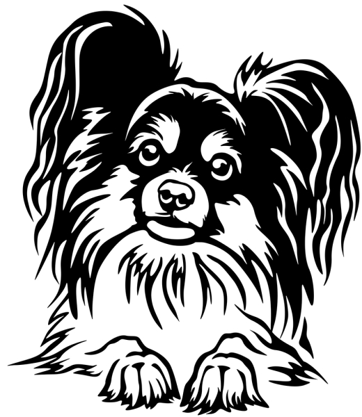 Aufkleber Papillon Kopf