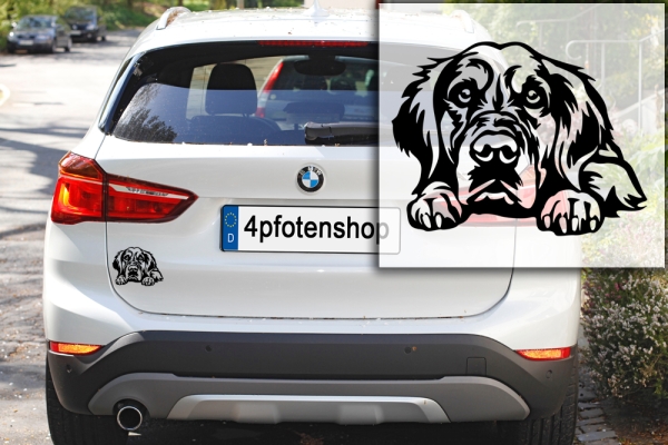 Autoaufkleber "Golden Retriever" Kopf