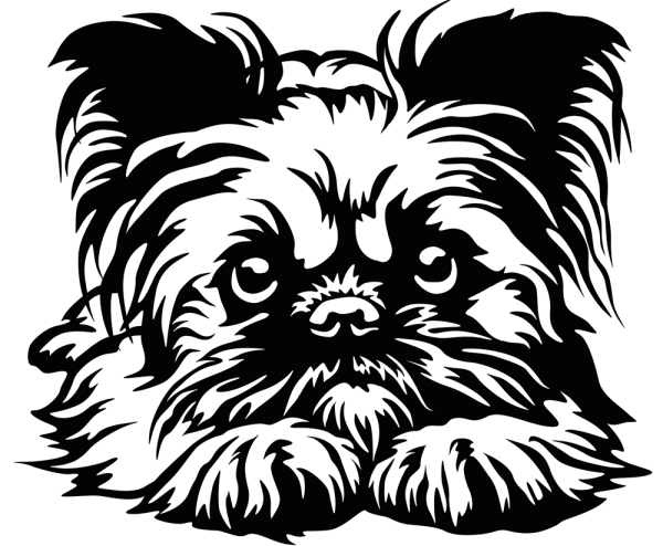 Aufkleber Brüsseler Griffon Kopf