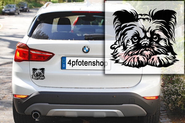 Autoaufkleber "Brüsseler Griffon" Kopf
