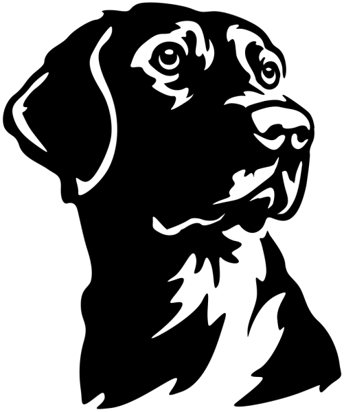 Autoaufkleber Labrador Kopf