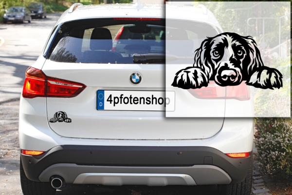 Autoaufkleber "Irish Setter" Kopf