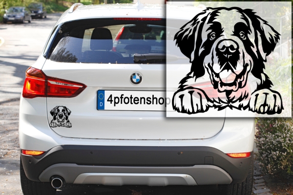 Autoaufkleber "Bernhardiner" Kopf