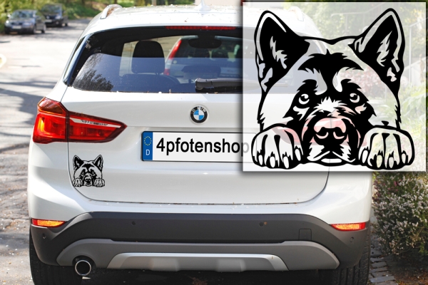 Autoaufkleber "American Akita" Kopf