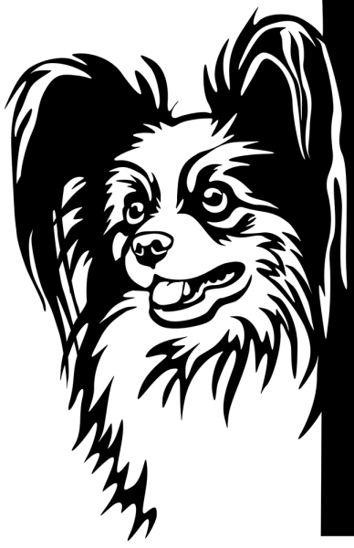 Aufkleber Papillon Kopf