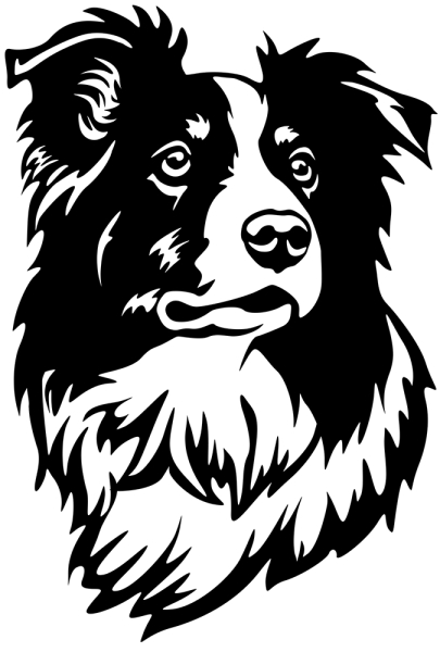 Aufkleber Border Collie