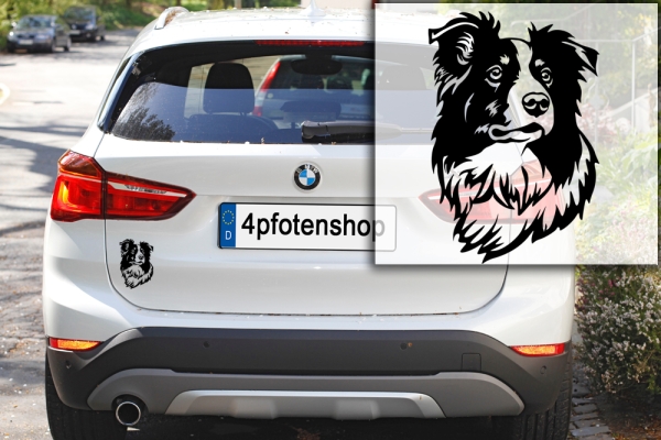 Autoaufkleber "Border Collie" Kopf
