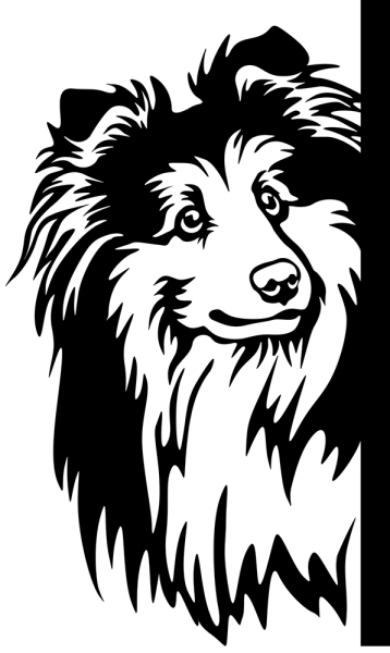 Aufkleber Sheltie Kopf