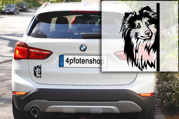 Autoaufkleber "Sheltie" Kopf
