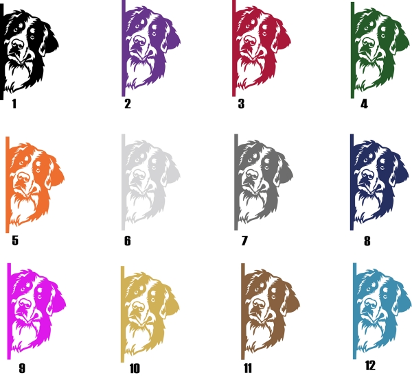 Autoaufkleber "Berner Sennenhund" Kopf