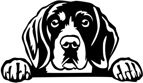 Aufkleber Beagle Kopf