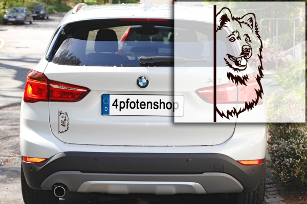Autoaufkleber "Samojede" Kopf