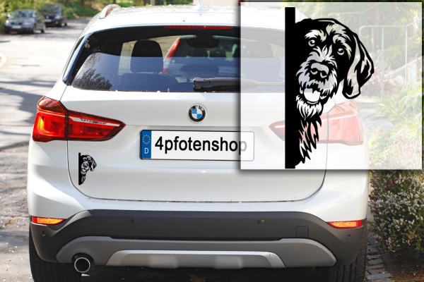 Autoaufkleber "Deutsch Drahthaar" Kopf