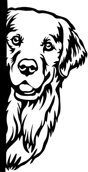 Aufkleber Golden Retriever Kopf