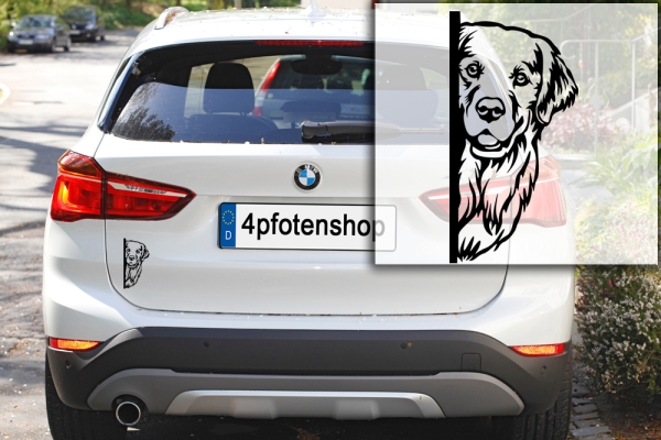 Autoaufkleber "Golden Retriever" Kopf