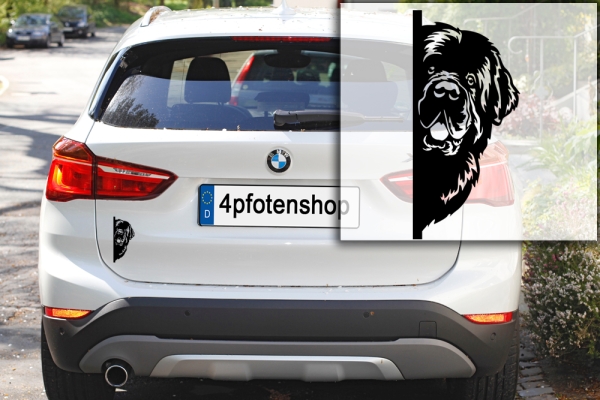 Autoaufkleber "Neufundländer" Kopf