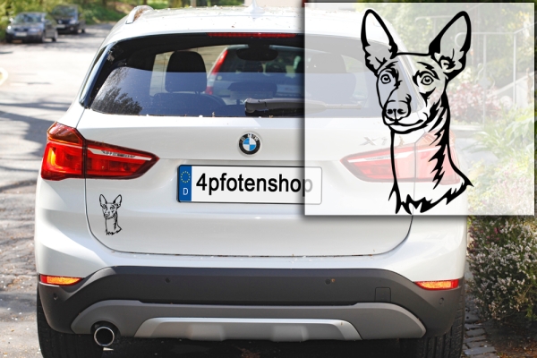 Autoaufkleber "Cirneco d'ell Etna" Kopf