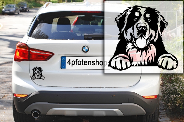 Autoaufkleber "Berner Sennenhund" Kopf