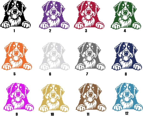 Autoaufkleber "Berner Sennenhund" Kopf