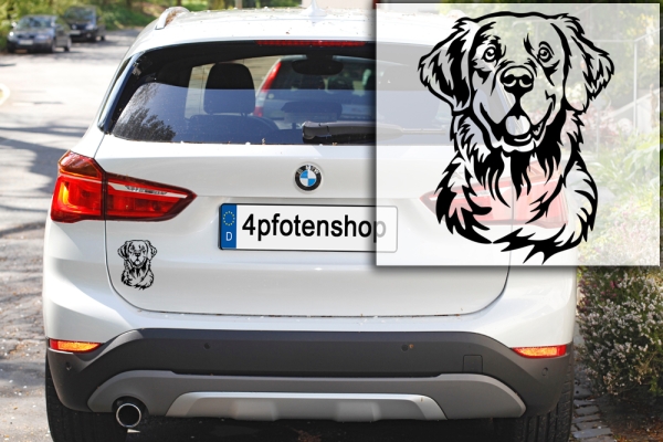 Autoaufkleber "Golden Retriever" Kopf