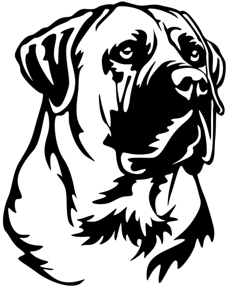 Aufkleber Boerboel Kopf