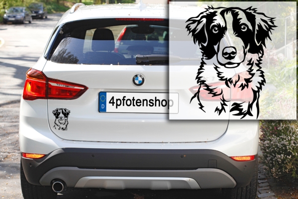 Autoaufkleber "Kromfohrländer (Rauhaar)" Kopf