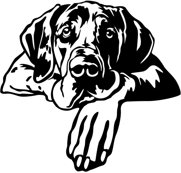 Aufkleber Dogge Kopf