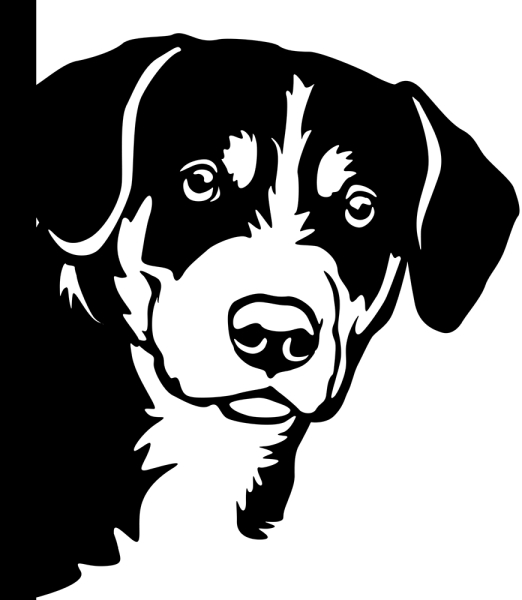 Aufkleber Appenzeller Sennenhund Kopf