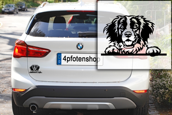 Autoaufkleber "Epagneul Breton" Kopf