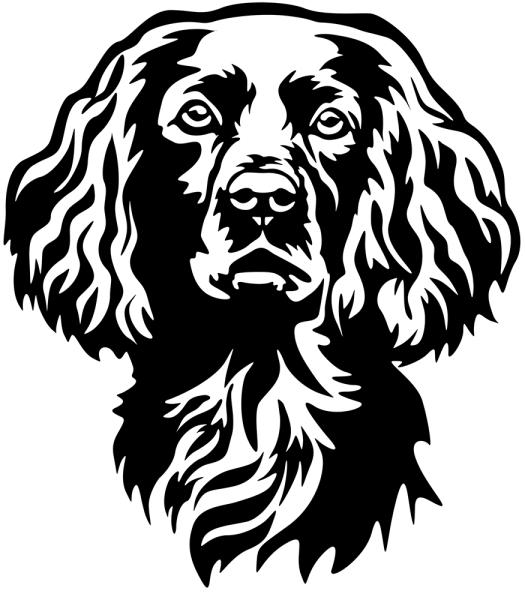 Aufkleber Boykin Spaniel