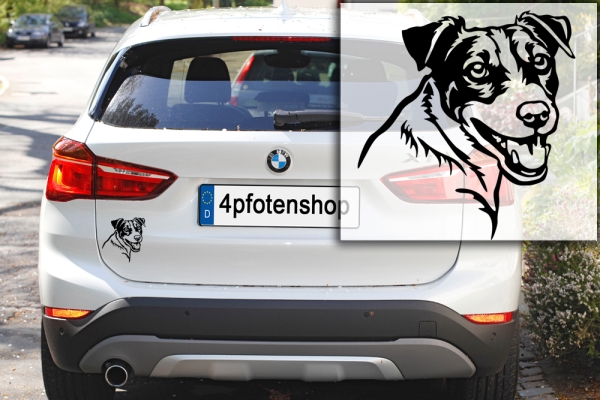 Autoaufkleber "Jack Russell Terrier" Kopf