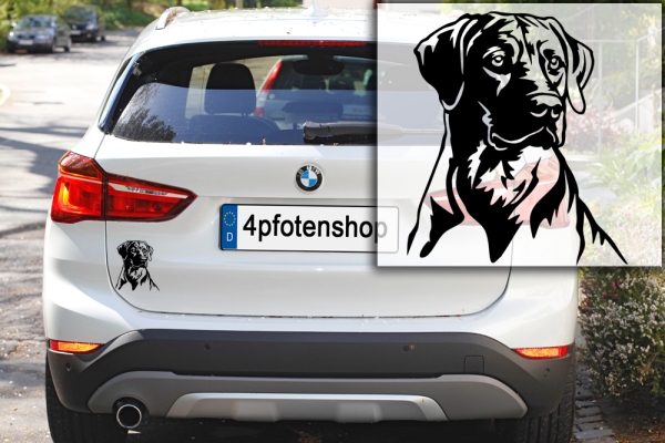 Autoaufkleber "Rhodesian Ridgeback" Kopf